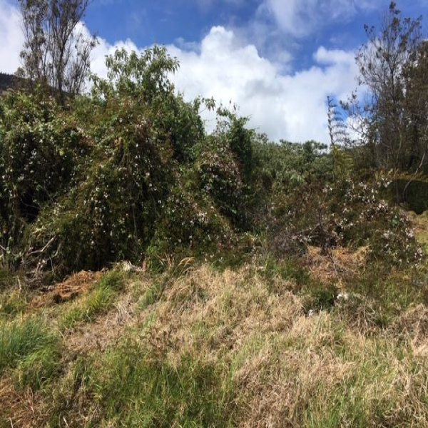 Offres de vente Terrain La plaine des cafres 97418