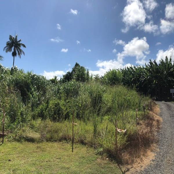Offres de vente Terrain Vincendo 97480