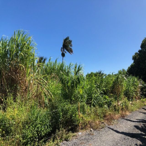 Offres de vente Terrain Vincendo 97480